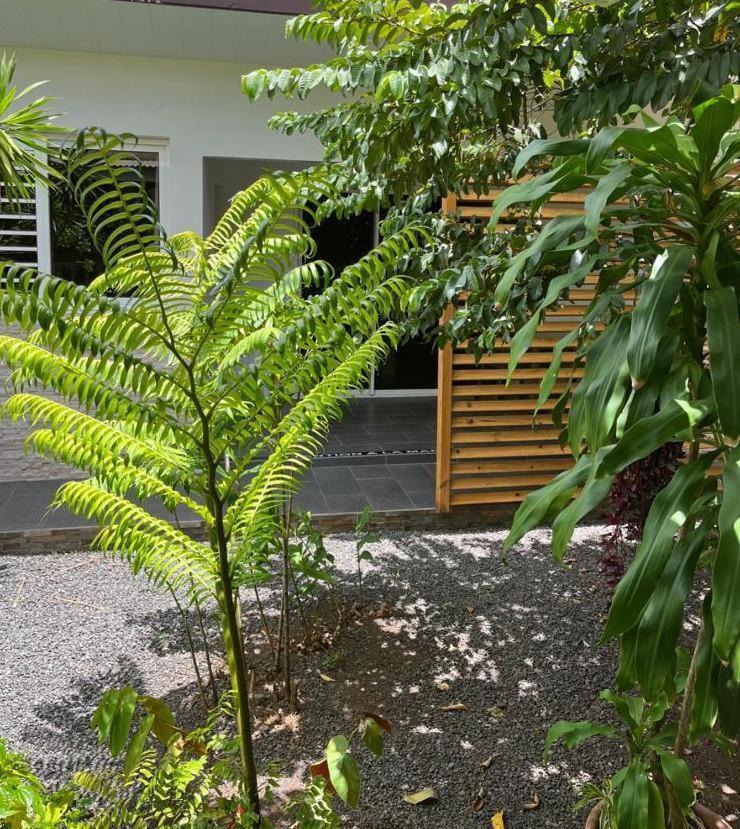 Pare Lodge Tahiti Pirae Zewnętrze zdjęcie