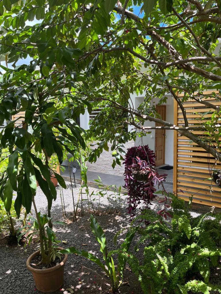 Pare Lodge Tahiti Pirae Zewnętrze zdjęcie